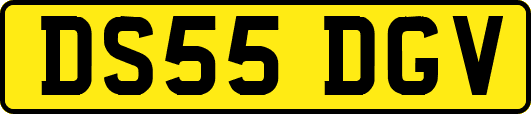 DS55DGV