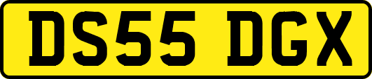 DS55DGX