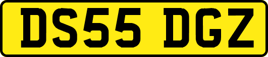 DS55DGZ