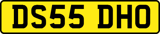 DS55DHO