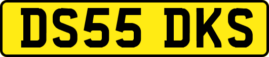 DS55DKS