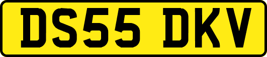 DS55DKV