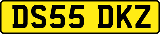 DS55DKZ