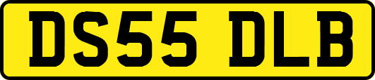 DS55DLB