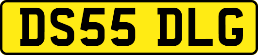 DS55DLG