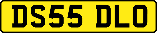 DS55DLO
