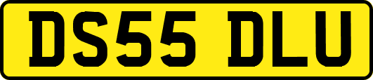 DS55DLU