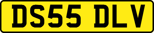DS55DLV