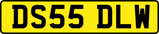 DS55DLW