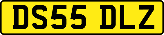 DS55DLZ