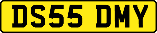 DS55DMY