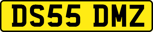 DS55DMZ