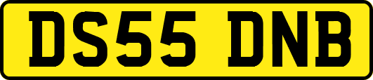 DS55DNB