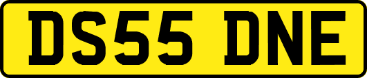DS55DNE