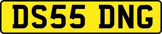 DS55DNG