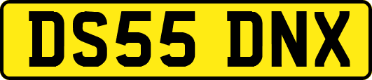 DS55DNX