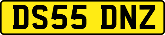 DS55DNZ