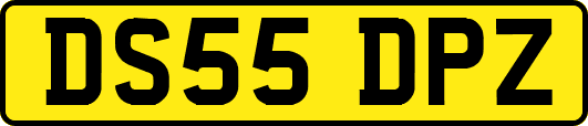DS55DPZ