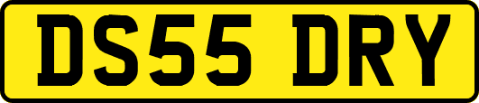 DS55DRY