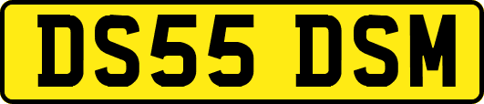 DS55DSM