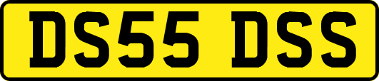 DS55DSS