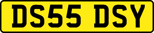 DS55DSY