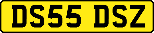 DS55DSZ