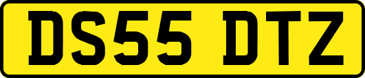 DS55DTZ