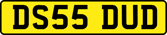 DS55DUD
