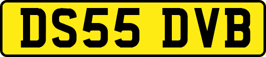 DS55DVB