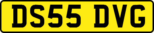 DS55DVG