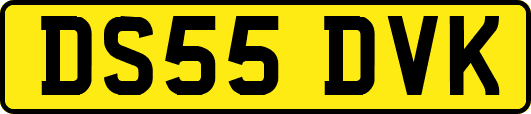 DS55DVK