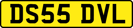 DS55DVL