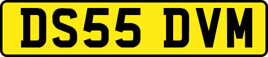DS55DVM
