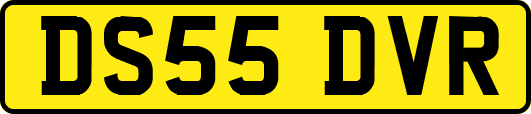 DS55DVR