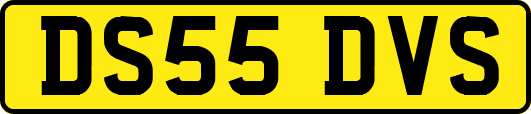 DS55DVS