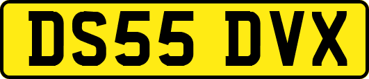 DS55DVX