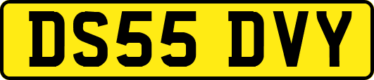DS55DVY