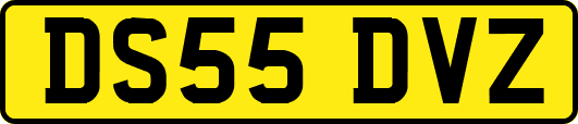 DS55DVZ