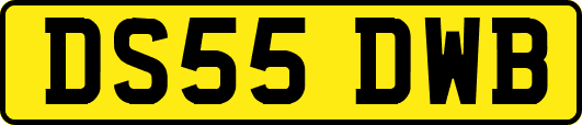 DS55DWB