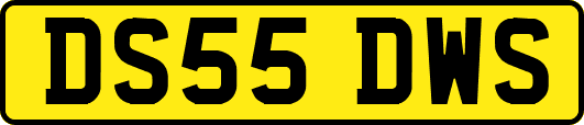 DS55DWS