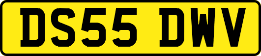 DS55DWV