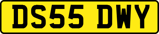 DS55DWY