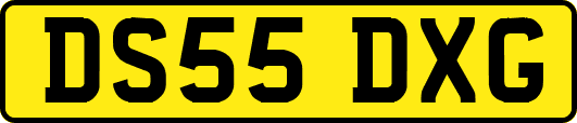 DS55DXG