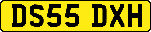 DS55DXH