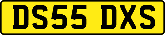 DS55DXS