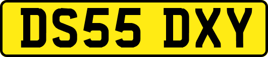 DS55DXY
