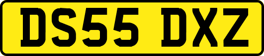 DS55DXZ