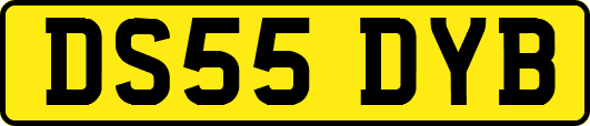 DS55DYB