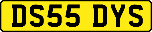 DS55DYS